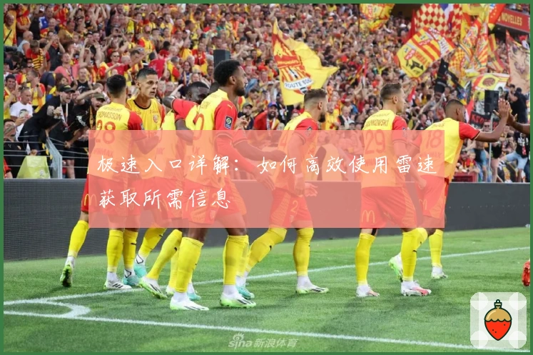 极速入口详解：如何高效使用雷速获取所需信息