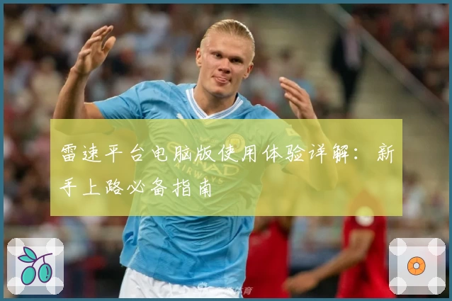 雷速平台电脑版使用体验详解：新手上路必备指南