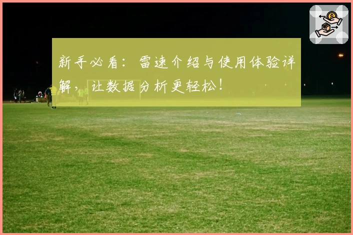新手必看：雷速介绍与使用体验详解，让数据分析更轻松！