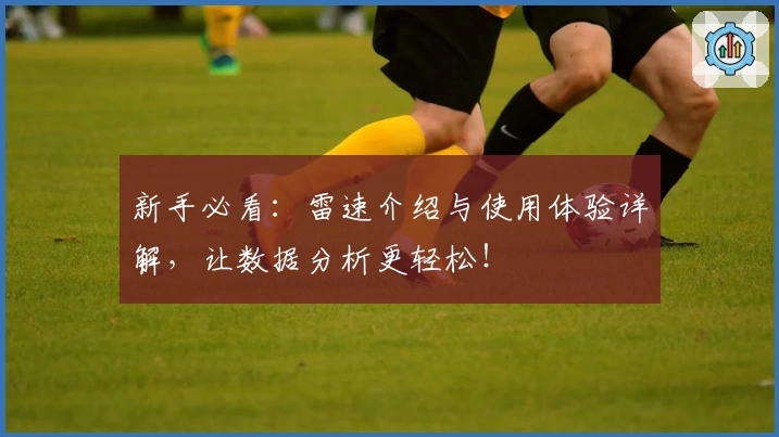 新手必看：雷速介绍与使用体验详解，让数据分析更轻松！